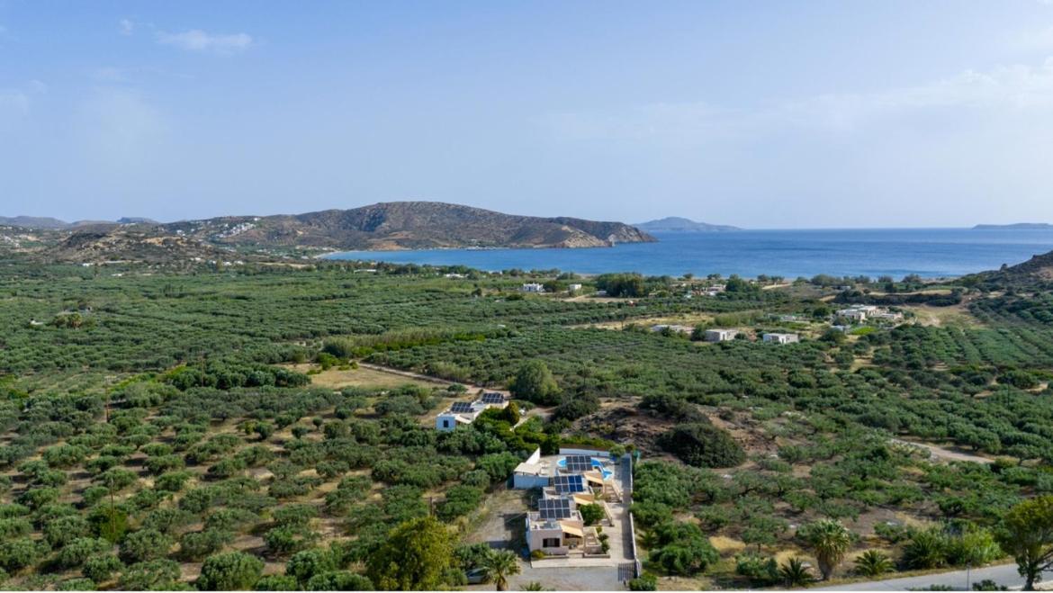 Rousolakos Pool Apartments Palekastro Exteriér fotografie
